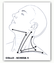 Masaje conectivo: esquema de las líneas del cuello